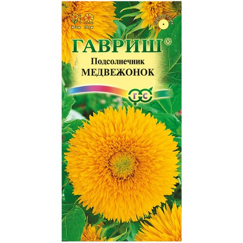 ���������� ������ ������������ ������������ ����������