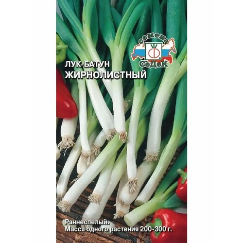 ���������� ��� ����� 