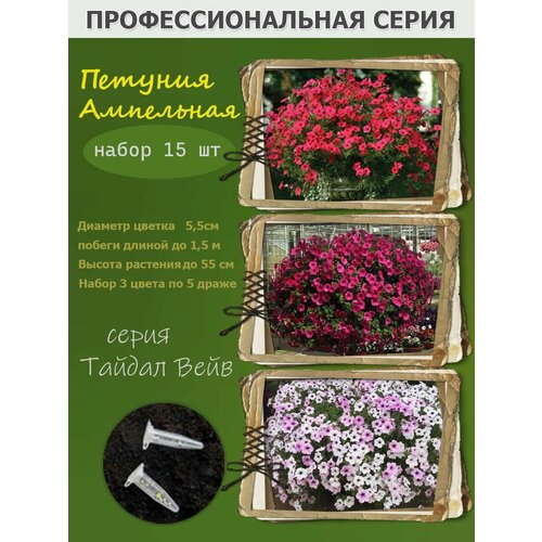 ���������� ��������� ������� Tidal wave ������ ���� ����� 3 �����