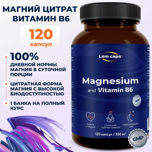     B6 ( 6),     , Magnesium Citrate 400  Lemcaps, 120    , -, 