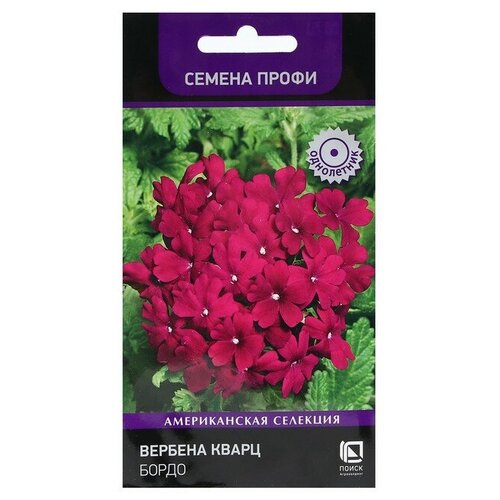 ���������� ������ ������ ������� 