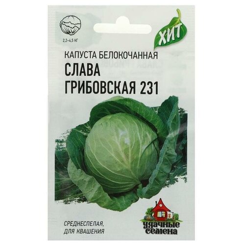 ���������� ������ ������� ������������ 