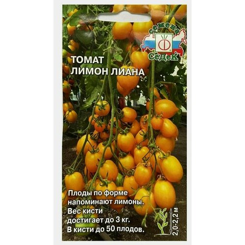 ���������� ������ ����� ����� ����� (0,1�)