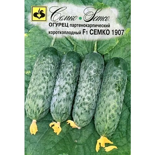 ���������� ������ ������ ����� 1907 F1 �������� 10�� ������������������ ������ (�����)