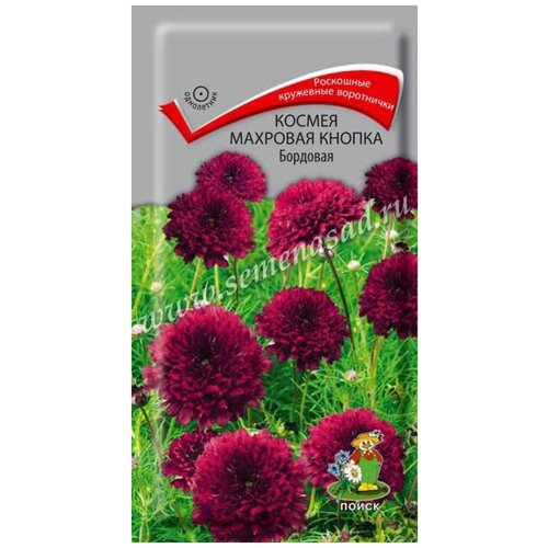 ���������� ������ ������ �������� ������ �������� 0,1��