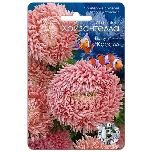 ���������� ������ ����� ��������� 