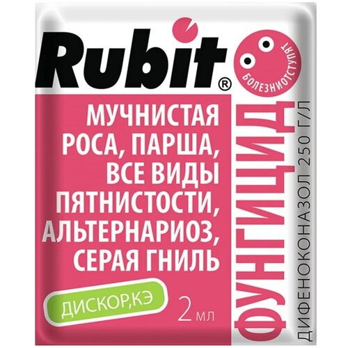 Rubit     , 2 , 2    , -, 