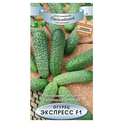 ���������� ������ ����� ������ ������� �������� ������ �������� F1 12 ��.