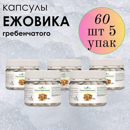 ���������� ������ ���� ����������� � �������� ����-��������, ����������� ������� ������� 60 ��*5 ��������