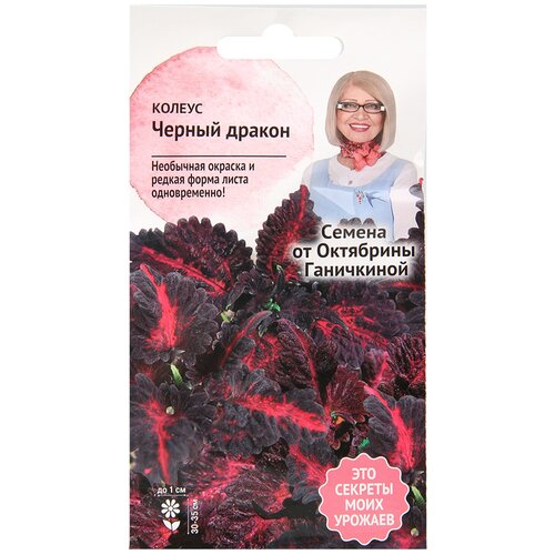 ���������� ������ ������ ������ 