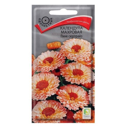 ���������� ������ ������ ��������� �������� 