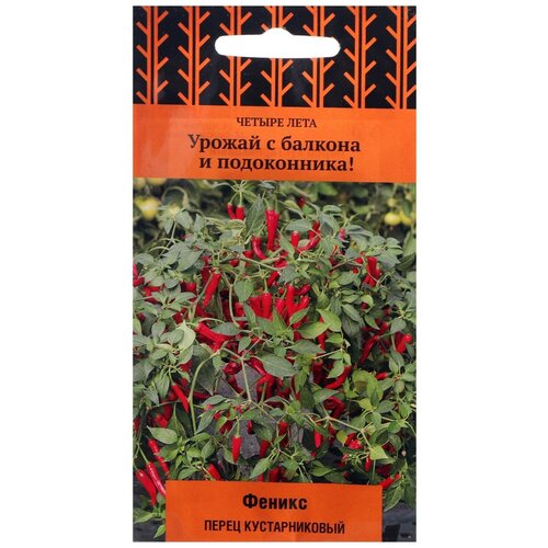 ���������� ������ ����� ������ ���� ����� ������������� ������ ������ 5 ��.