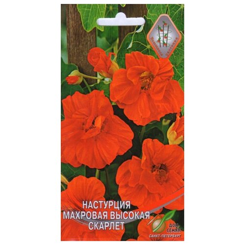 ���������� ��������� �������� ������� �������, 9 �����