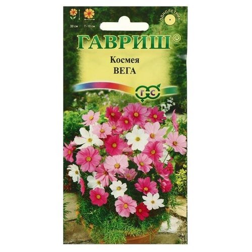 ���������� ������ ������ ���� ����-������� �����, 0,5 �