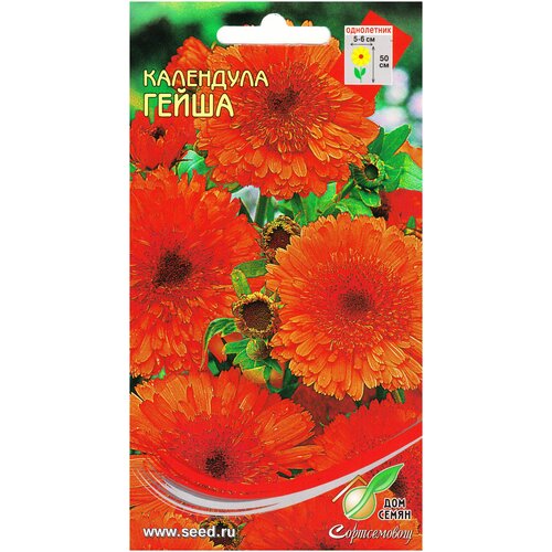 ���������� ��������� �����, 20 �����