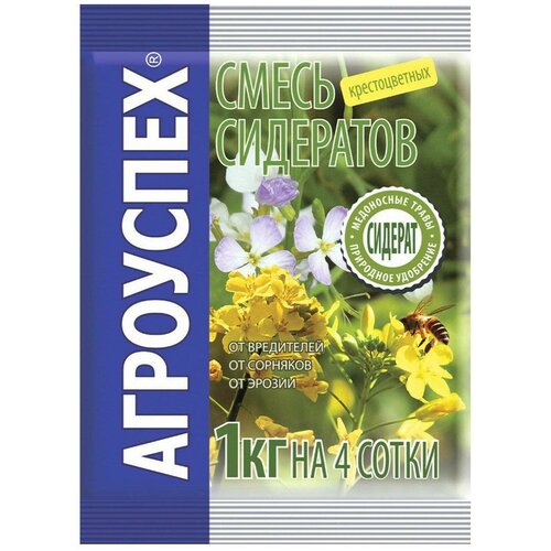 ���������� ������ ��������� �������������, 1 ��, 1 ��