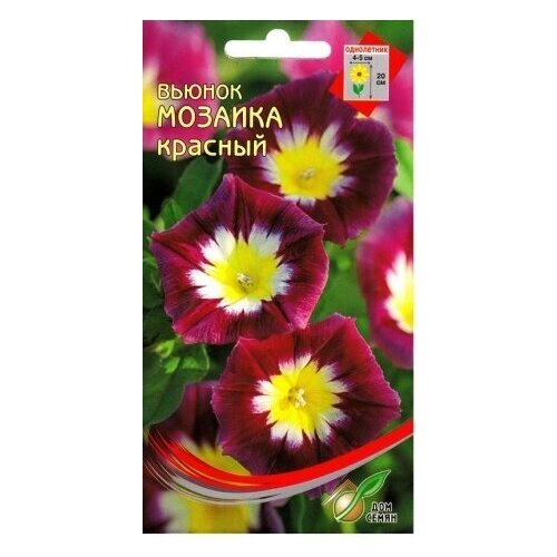 ���������� ������ ��� ����� ������ �������, �������, 44 ��.