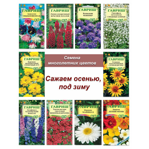 ���������� ������ �������������, ����� ����� ����������� ������