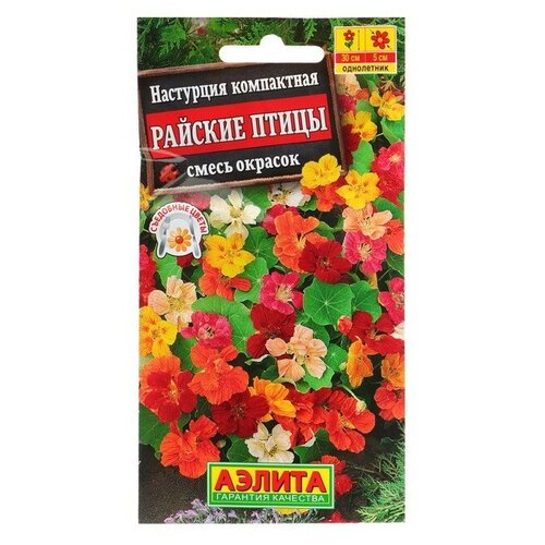 ���������� ������ ������ 