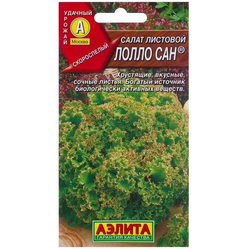 ���������� ������ ����� �������� 