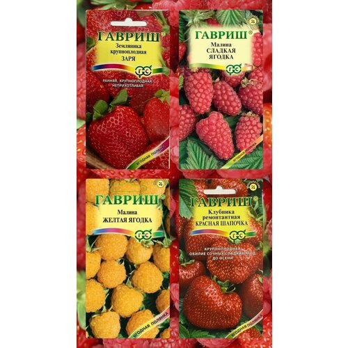 ���������� ������ ������� ���� ��������� ���� � ������� �������, ������ ������ � ������� ������