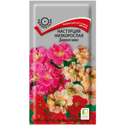 ���������� ��������� ����������� ������ ���� 2 �