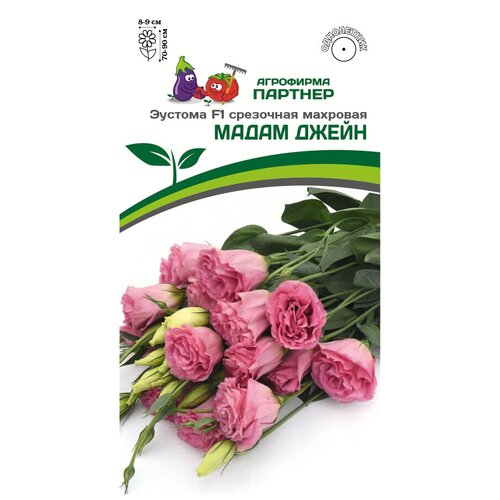 ���������� ������ ������� ��������� �������� 