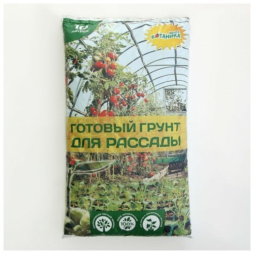 ���������� ����� 