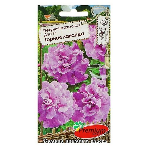 ���������� ������ ������ ������� �������� 