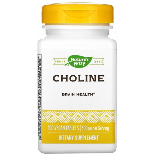 CHOLINE 500mg 100 tabs NW   , -, 