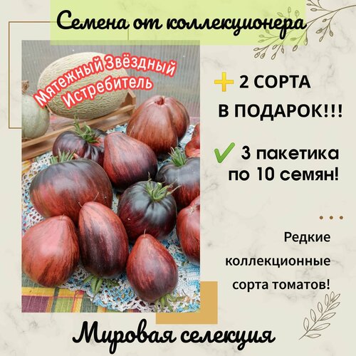 ���������� ����� �������� ������� �����������, ������� ��������, ������������� ����