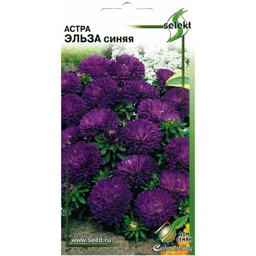 ���������� ����� ����� �����, 45 �����