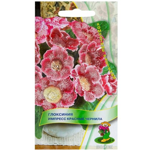 ���������� ������ ������ ��������� 