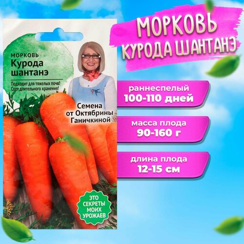 ���������� ������� ������ ������� 2 �