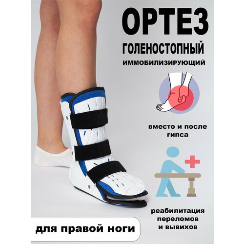 ���������� ����� �� ������������� ������ �������, ������ ����������������� ��� ����������� ��� �������, �������, ���������, ������ � �����������. L. ������