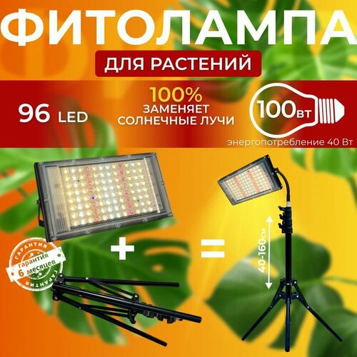 ���������� ��������� ��� ����������� �������� ������� ������ ������ �������������� ������������, ����� ��������� ��� ������ �� �������