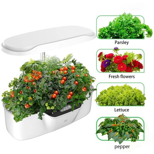 ���������� ����� Hydroponics ���������������� �������� ������� ����������� ����������� ��� ����������� ���� � ��������� Quantum board 30w