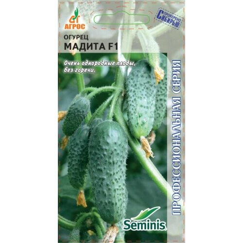 ���������� ������ ������ ������ F1 �������� 8�� ������������������ ������ (�����)