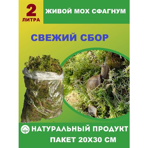 ���������� ����� ��� ������� 2 �����, ��� �������, ������, ��������