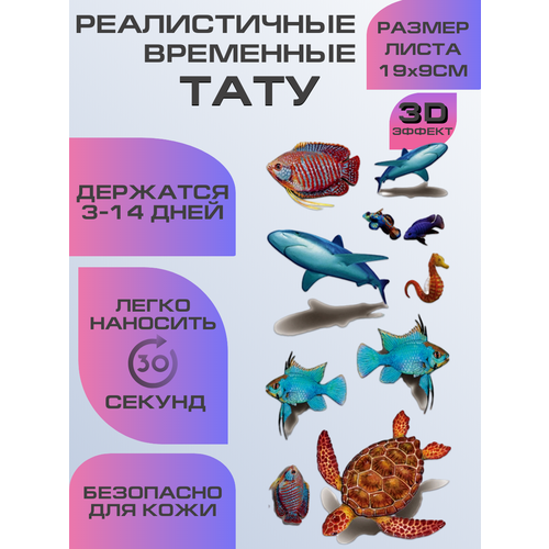 ���������� ���� ���������� ��������������, ��������� ����