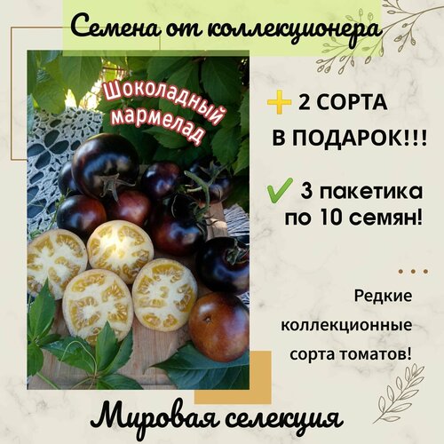 ���������� ����� ���������� ��������, ������� ��������, ��������������, ������������� ����