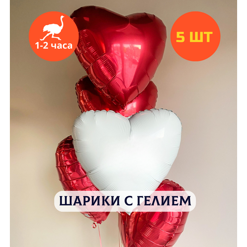 ���������� ������ ��������� �� ���� ��������, ��������� ���� � ������, ���� � ���� ��������, ����� ����� ��� ������� 