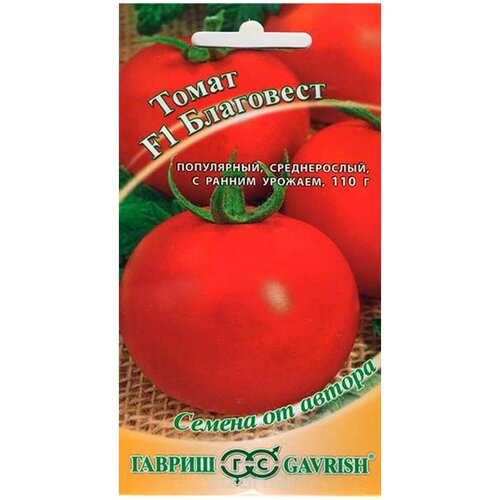 ���������� ������ ������ ������ �� ������ ����� ��������� F1 12 ��.