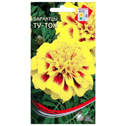 ���������� ������ �������� ��-��� 80�� ��� ����, ����, �������, ������� / ������� � �������� ��������