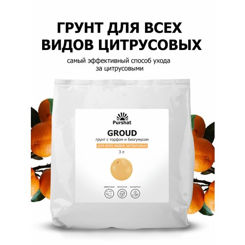 ���������� ����� (�����) ��� ���������� (�����, ��������, �������) ������. ����������� ���������� � ������ � ���������� (Purshat) 3 �