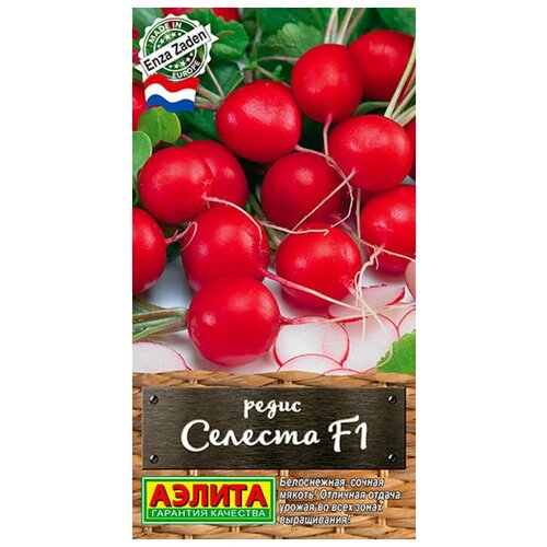 ���������� ������ ������. ����� 