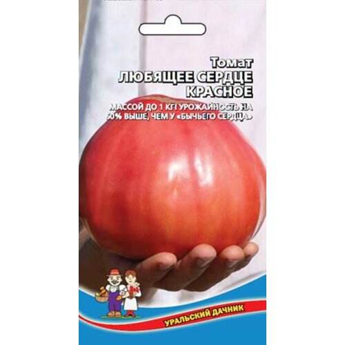 ���������� ������ ����� ������� ������ ������� F1 15�� ����� (��������� ������)