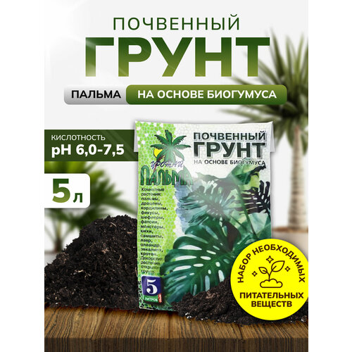 ���������� ����� ��� ������, ����� ��� ������ � ��������� �������� 5 �, ����������