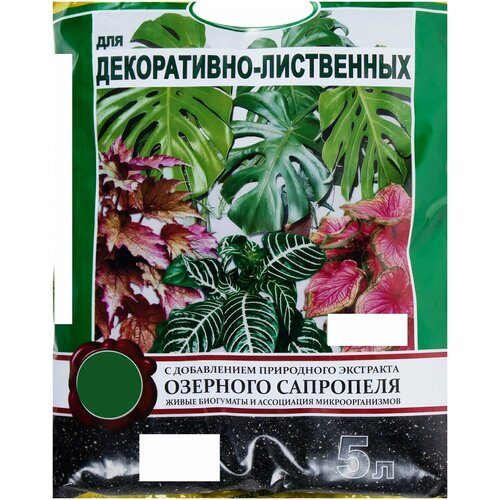 ���������� ����� ��� �����������-���������� ��������, 5 �. ����������� ���������� � ��������������� ��� ������� � ������ �������� �� ���������� � ��������