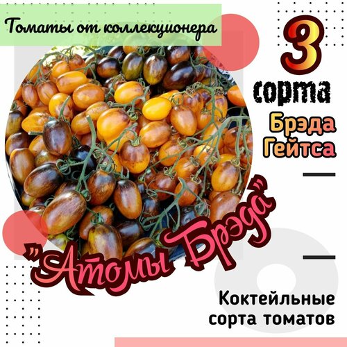 ���������� ����� ����� 